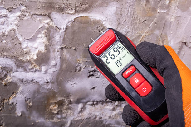 Best Toxic Mold Removal  in Lake Dunlap, TX